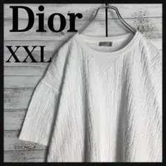 美品・人気モデル】Dior オブリーク柄パイルロゴ 近年モデルtシャツ 白 
