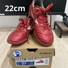 ミズノモナルシーダネオサッカーフットサルトレーニングシューズ22cm