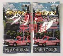 新品未開封 SKYRU ハダカード 会場限定