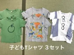 キッズ Tシャツ お揃い2枚組　3セットのサムネイル