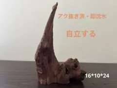 2026年最新】マシンガンウッドの人気アイテム - メルカリ