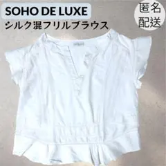 【美品】SOHO de Luxe イタリア製 シルク混半袖ブラウス 上品　Lのサムネイル