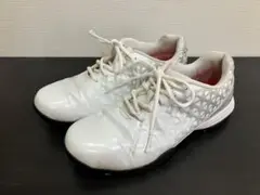 ブリヂストン　ゴルフシューズ メンズ SHTS6S 25.5cm 白系