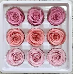 チビチィ様 リクエスト 2点 まとめ商品