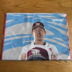 楽天イーグルス オンラインガラポン 西口