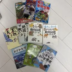 T*F様 ラッコ　本　まとめ売り T*F様 ラッコ 本 まとめ売り - メルカリ
