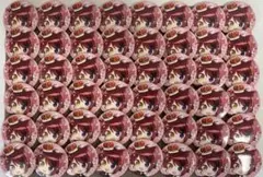 莉犬くん　すとめも10　セット