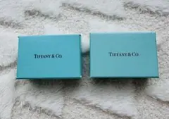 Tiffany & Co. アクセサリーケース 2個セット