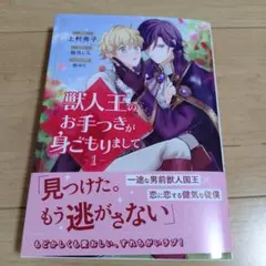 獣人王のお手つきが身ごもりまして ①