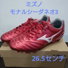 MIZUNO シューズ