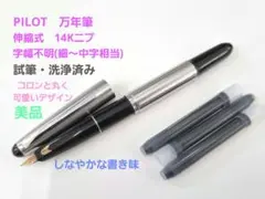 廃番 廃盤 PILOT パイロット キャップ式 シャープペンシル ステンレス