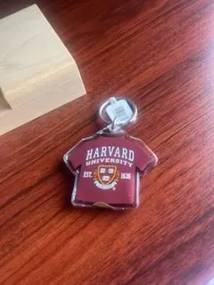 ハーバード大学　キーホルダー　未使用