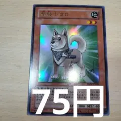 遊戯王　柴戦士タロ　YAP1 ウルトラ　原作