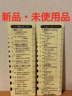 【新品】意識レベル表付きゲージ付きスケール２枚セット