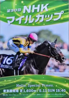 ワンダーホースコレクション　ジャンタルマンタル 2025年最新】ジャンタルマンタルの人気アイテム - メルカリ