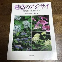 魅惑のアジサイ 名所と自生地を巡る