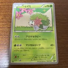 2026年最新】シェイミ cp5の人気アイテム - メルカリ