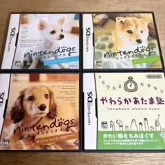 【ケース&説明書のみ】任天堂 DS ニンテンドッグス やわらかあたま塾 4点