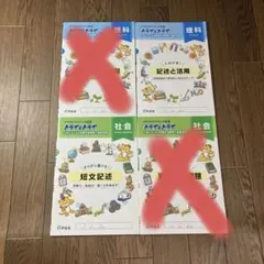 Item thumbnail for item 72bd22d9-b8d7-4786-8280-4f0f6edb5294