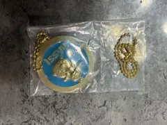 一番くじ ポケモン メタルチャーム　ミジュマル