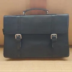 (unused) Danier Leather Man's Office Bag