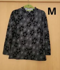 Item thumbnail for item db1e8fb8-5e8e-4678-a471-1a6f97ba9bd0