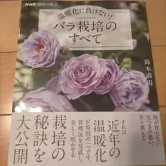 Item thumbnail for item 37e11c96-b001-4123-898b-b84234ea072b