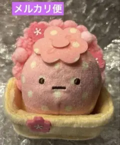 すみっコぐらし 夢みるしっぽず てのりぬいぐるみ ぺんぎん？ 受注
