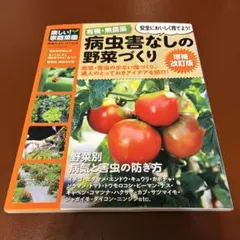 週末値下げ！有機・無農薬病虫害なしの野菜づくり