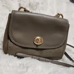 最終値下げCOACH /コーチ チェーンショルダーバッグ レザー