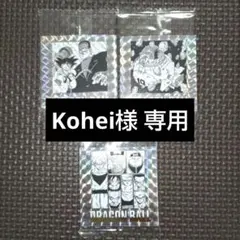 【Kohei様 専用】ワンピース 大海賊シール LOG.12