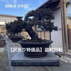 2026年最新】盆栽台の人気アイテム - メルカリ