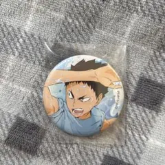 ハイキュー 岩泉一 缶バッジ 水遊び