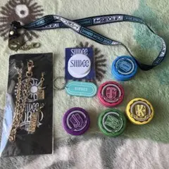 SHINee WORLD 2014 グッズ まとめ売り