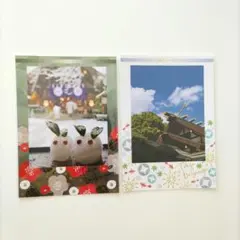 東京大神宮　ポストカード