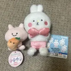くずぴょん あさみみちゃん マスコット 2点セット