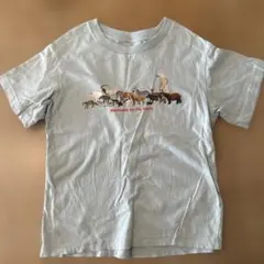 UNIQLO キッズ Tシャツ 120cm