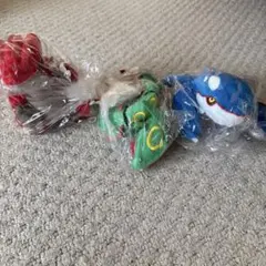 ポケモンfit グラードン カイオーガ レックウザ 旧タグ