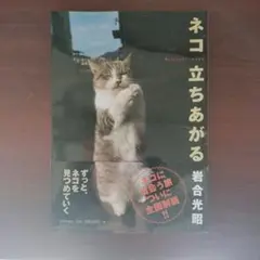 ネコ立ちあがる : ニッポンの猫写真集