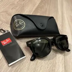 Ray-Ban 廃盤品 メテオール RB4168F 902