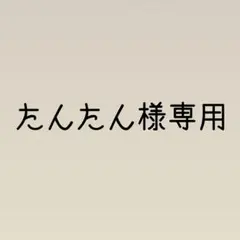 たんたん様専用ページ