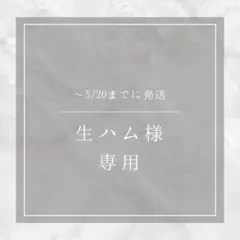 〜5/20 生ハム様専用
