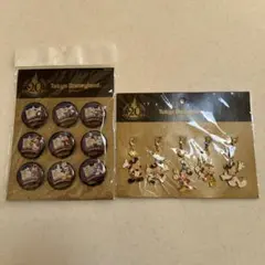 東京ディズニーランド 20周年 缶バッジセット＆ストラップセット