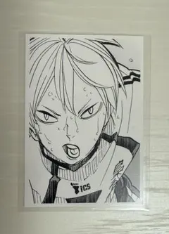 ハイキュー　梟谷　木葉秋紀　クロニクル 208枚セット ハイキュー 梟谷 木葉秋紀 クロニクル 208枚セット ハイキュー 梟谷