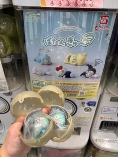 サンリオ ばたんきゅー ハ ンギョドン