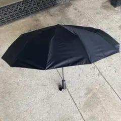 【美品】Dickti 折りたたみ傘　12本ダブル傘骨