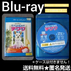 Item thumbnail for item 103bb323-29d0-4134-a459-7f78ea753b35