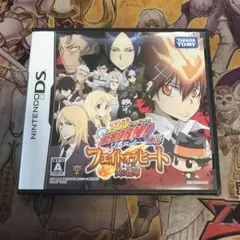 リボーンDS フェイトオブヒート　炎の運命　DS ソフト