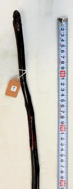 ⑥散歩にあかざ杖！トレッキングにアカザ杖！10000円⇒8000円 あかざ（藜・アカザ）の杖・ストレートステッキ 【送料無料