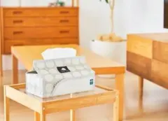 SCANDINAVIAN FOREST ティッシュボックス ベージュ ドット柄